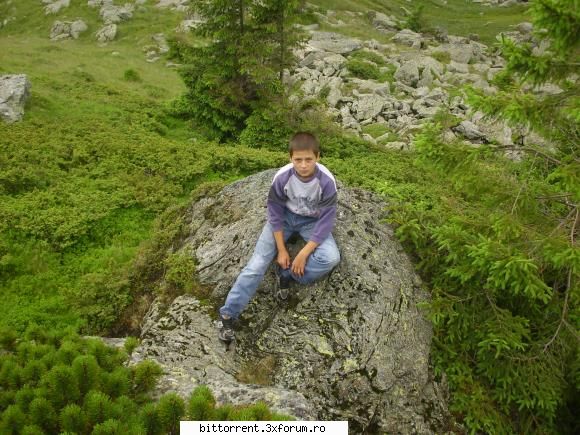 simplu:)) :d  :zzz:  :dinti:  :)  =)  :razz:  :finger:  :rotfl: